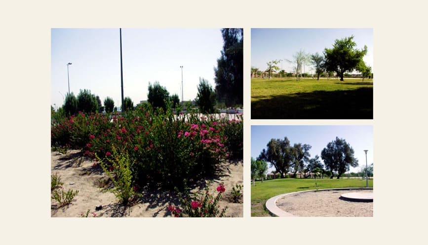 Designated Garden A B C E1 E2 E3 D3 – Kuwait Gallery Image